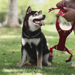 Load and play video in Gallery viewer, Dog Harness No Pull Breathable Reflective Pet Harness Vest
